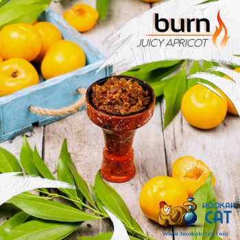 Заказать кальянный табак Burn Juicy Apricot (Берн Абрикос) 100г онлайн с доставкой всей России - фото 1